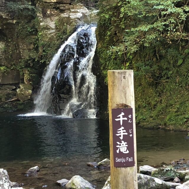 宇治吉田運送の
小型バスで行く日帰りバスツアー🚌
　
乗車地が弊社の地元 宇治各所に設定されており、
大変ご好評いただいております✨
　
今回ご報告のバスツアーは
●青蓮寺湖のぶどう狩りと赤目四十八滝散策
（昼食「とろろ庵伊賀路」のとろろ御膳）
　
すべての日程が終了いたしました❗
　
▼コース内容
「日本の滝百選」に選ばれた赤目四十八滝を
渓谷ガイドさんと散策
↓
「とろろ庵伊賀路」様にて栄養豊富で
ヘルシーなとろろ料理のご昼食
↓
青蓮寺湖のぶどう狩り（おみやげ付）
　
　
参加された皆さま
自然の中での散策は
リフレッシュになりましたでしょうか😌？
秋の味覚は楽しんでいただけましたか😊？
今回はお天気にも恵まれたツアーとなりました👏
　
写真・動画
1～4枚目　赤目四十八滝
5、6枚目　とろろ庵伊賀路
7枚目　ぶどう狩り
　
関係各所の皆さま
ご協力誠にありがとうございました。
　
次回のバスツアーは11月・12月出発で
「夕日ヶ浦温泉”海花亭/花御前”の
カニフルコースのご昼食と温泉入浴」
全日程の催行が決定しております❗
　
まだお席に余裕がある日もございますので、ご検討中の方はお早目にお申込みください😊
　
#バスツアー#日帰りバスツアー#宇治吉田運送#小型バス#青蓮寺湖ぶどう狩り#青蓮寺湖#赤目四十八滝#とろろ庵伊賀路#とろろ御膳#ぶどう狩り#三重県#三重観光#フルーツ狩り#日本の滝百選