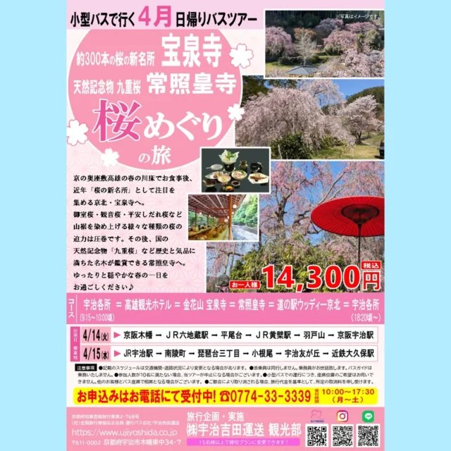 宇治吉田運送 観光部より
4月出発バスツアーのお知らせです✨
　
『宝泉寺&常照皇寺　桜めぐりの旅』
　
京の奥座敷高雄の春の川床でお食事後、
知る人ぞ知る約300本の桜の新名所 京北・宝泉寺へ。
御室桜・観音桜・平安しだれ桜など
山裾を染め上げる様々な種類の桜の迫力は圧巻です。
その後、天然記念物「九重桜」など
歴史と気品に満ちた名木が鑑賞できる常照皇寺へ。  ゆったりと穏やかな春の一日をお過ごしいただけます🌸
ぜひお申込ください😊
　
お問合せ・お申込はお電話にて❗
☎0774-33-3339
受付時間 10:00～17:30（月～土）
　
#バスツアー #日帰りバスツアー #日帰り旅行 #マイクロバス #宝泉寺 #常照皇寺 #桜 #お花見 #しだれ桜 #桜の名所 #春バスツアー