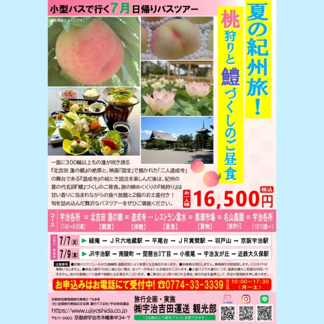 宇治吉田運送 観光部より
7月出発のバスツアーの
お知らせです😊
　
『夏の紀州旅！
桃狩りと鱧づくしのご昼食』
　
一面に300輪以上もの蓮が咲き誇る
『北吉田 蓮の郷』の絶景と、
映画「国宝」で描かれた「二人道成寺」の舞台である
『道成寺』の絵とき説法を楽しんだ後は、
紀州の夏の代名詞『鱧』づくしのご昼食✨
　
旅の締めくくりの『桃狩り』は
甘い香りに包まれながらの
食べ放題と2個のお土産付き🍑
　
旬を詰め込んだ贅沢なバスツアーを
ぜひご堪能ください😆
　
お問い合わせ・お申込はお電話にて❗
☎0774-33-3339
受付時間 10:00～17:30（月～土）
